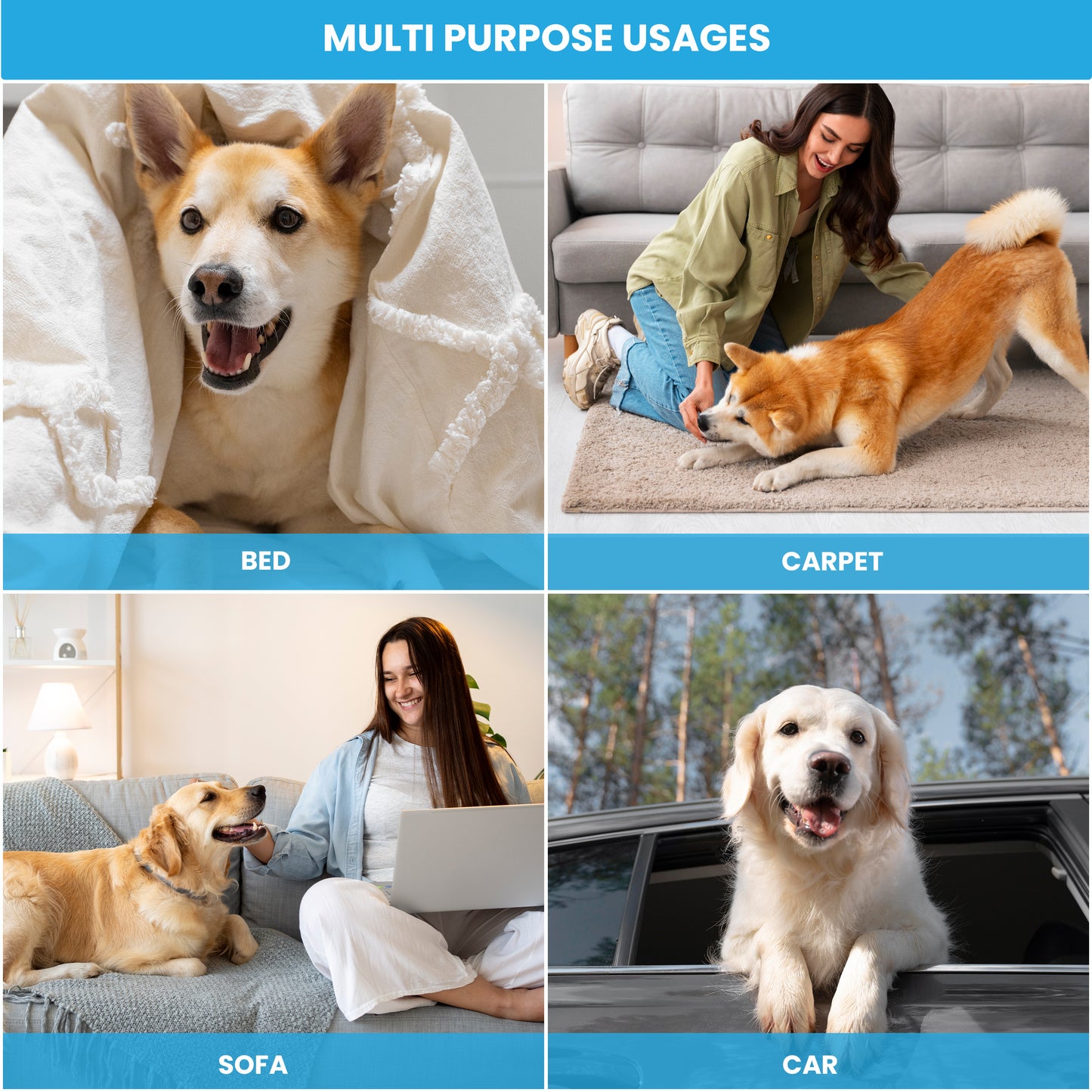 PawSorb Pads